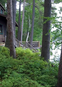 Lake Camp